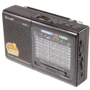 Портативная колонка радио MP3 USB Golon RX-6622. Цвет: черный