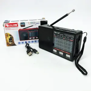 Радио GOLON RX-8866 цифровой портативный радиоприемник с фонариком функцией PowerBank. Цвет: черный