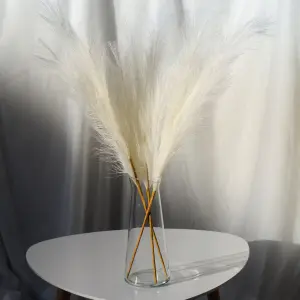 Пампас искусственный 75см 5шт/уп. Цвет: белый
