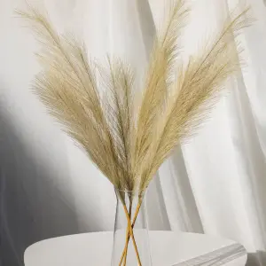 Пампас искусственный 75см 5шт/уп. Цвет: бежевый