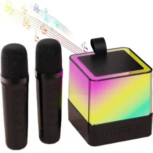Портативная караоке система с двумя микрофонами Bluetooth акустическая колонка для дома и вечеринок Black