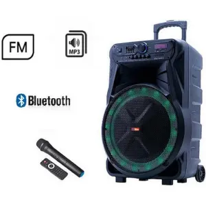 Портативная колонка SS-7272 акустическая система с караоке аккумуляторная + USB/SD/TF/Bluetooth/TWS